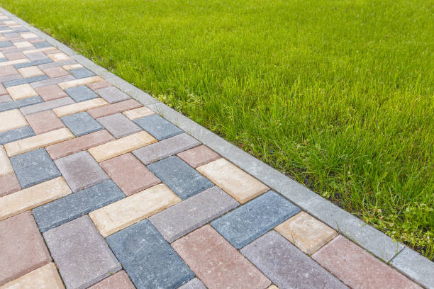 Best Professional Driveway Pavers  in Canfield, OH